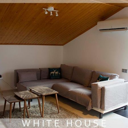 White House Villa Tbiliszi Kültér fotó